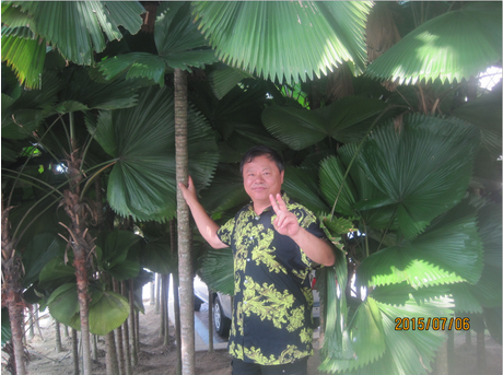 ��ǫ---�й��Ļ����������ίԱ�ḱ����