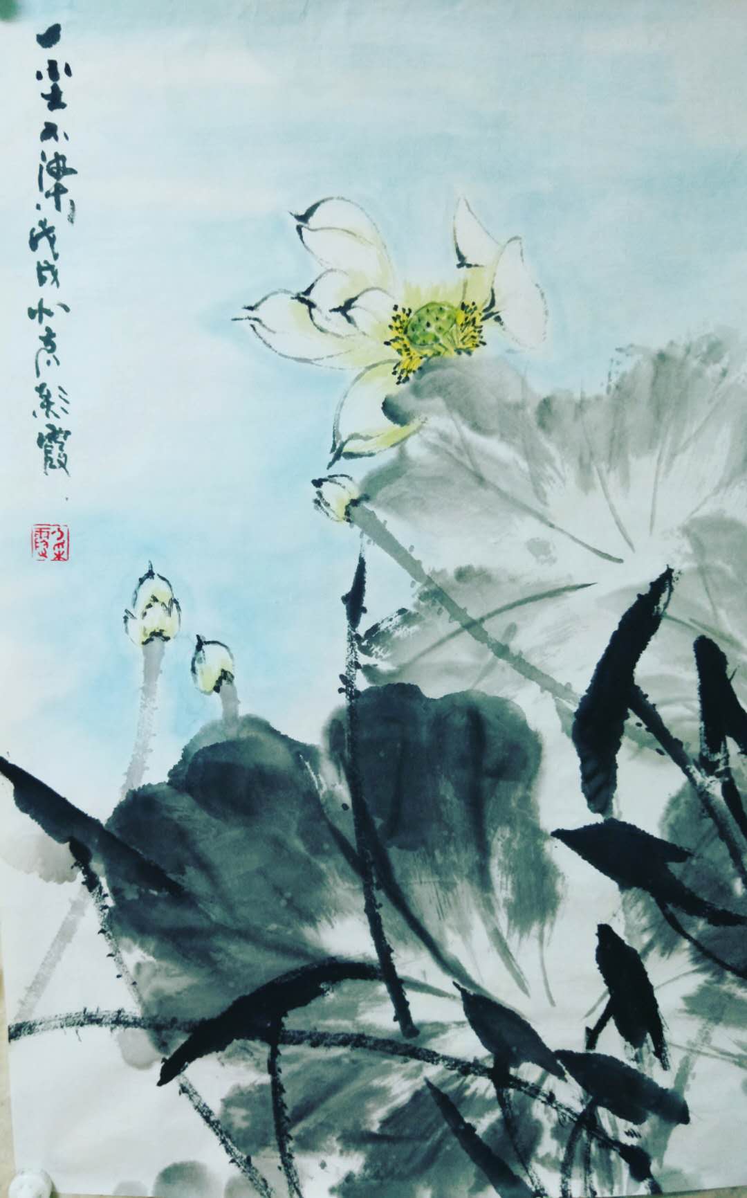 ȫ�������黭�������չʾ--���ϼ